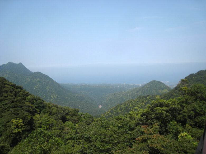 Mountains of Yakushima