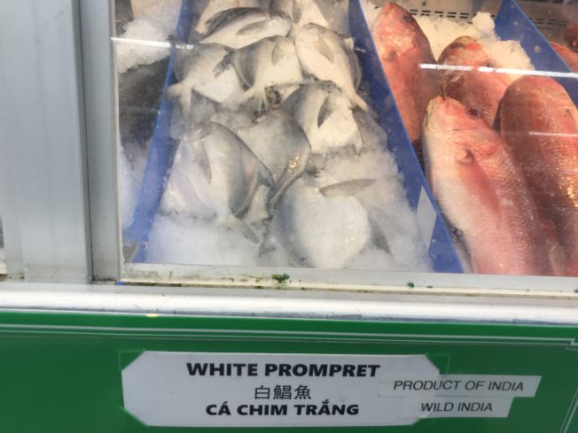 アメリカの魚の買い方 怪しい種類 の正体は 日本語で本当は食べたら美味い奴17連発