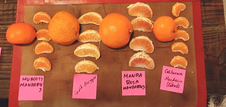 アメリカ『オレンジの種類』食い比べ(ﾟ∀ﾟ)海外の美味しい＆不味いみかん8選。