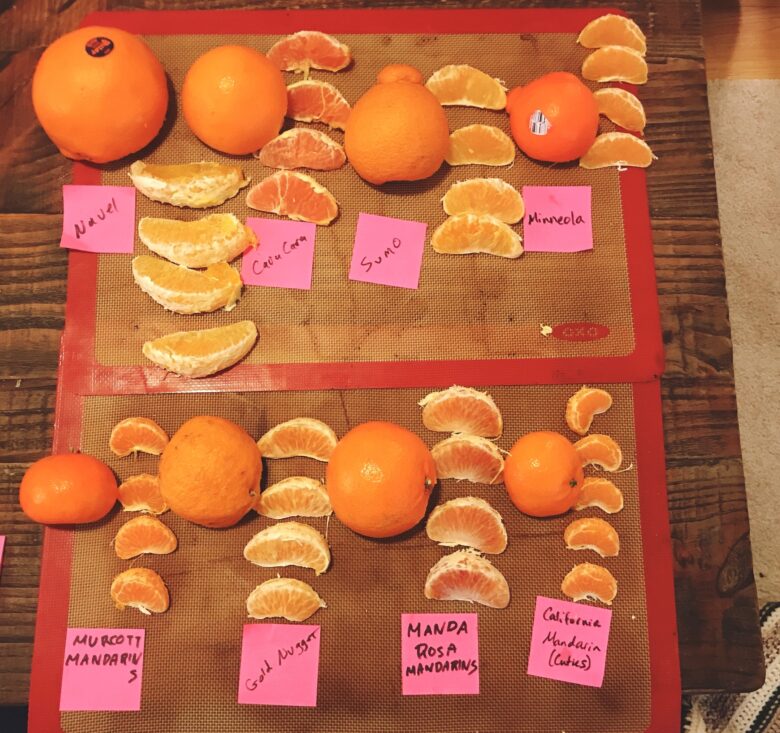 アメリカ みかんの種類 を食い比べ会 1番美味しいオレンジはどれだ