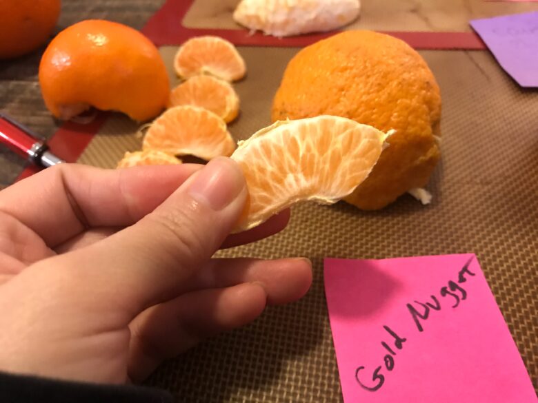アメリカ オレンジの種類 食い比べ ﾟ ﾟ 海外の美味しい 不味いみかん8選