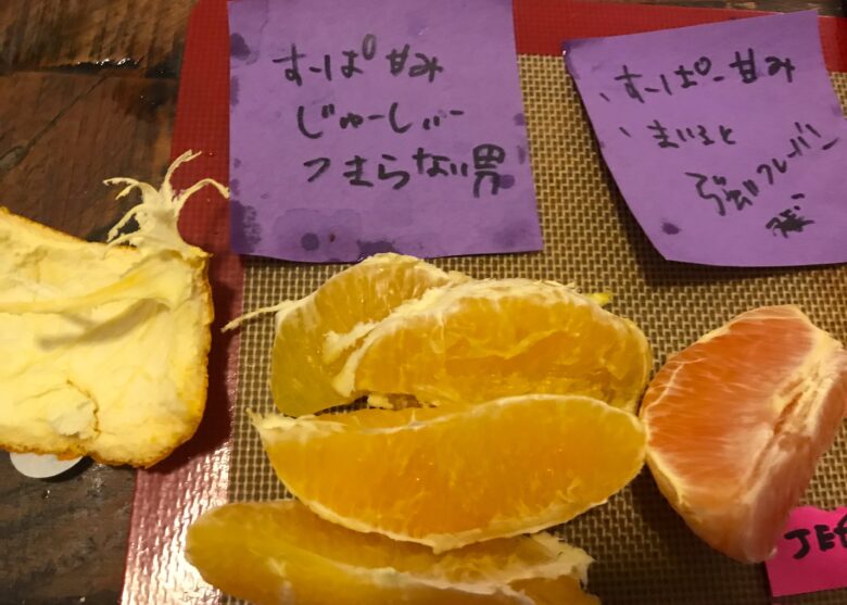 アメリカ オレンジの種類 食い比べ ﾟ ﾟ 海外の美味しい 不味いみかん8選